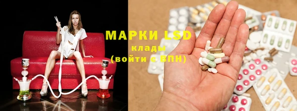 apvp Белокуриха