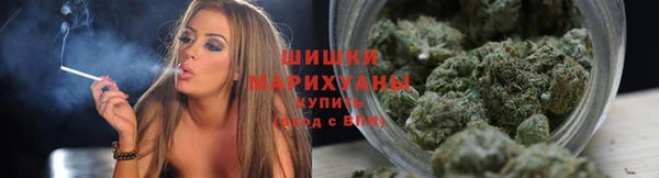 apvp Белокуриха