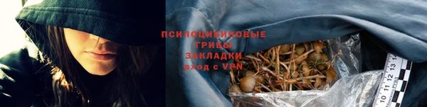 таблы Богданович