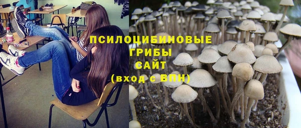 MDMA Богородицк