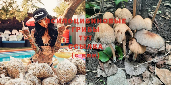 таблы Богданович