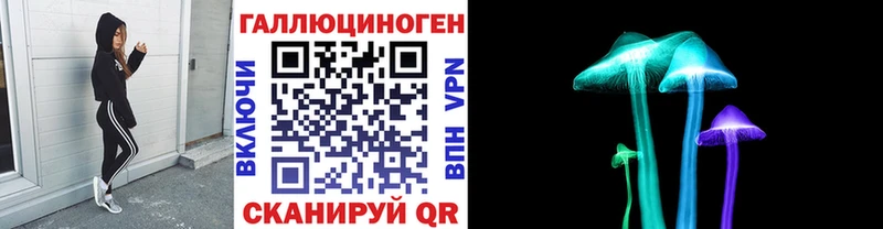 Галлюциногенные грибы Psilocybe  цены наркотик  Горячий Ключ 