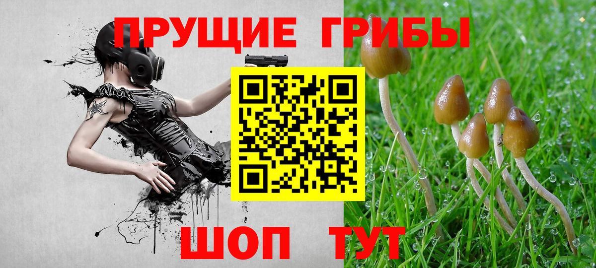 Псилоцибиновые грибы GOLDEN TEACHER  Галлюциногенные грибы мухоморы  Горячий Ключ 