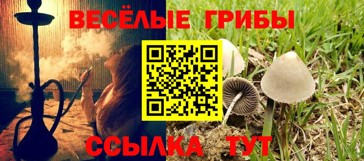 Горячий Ключ  Галлюциногенные грибы Psilocybine cubensis  Вход с VPN 